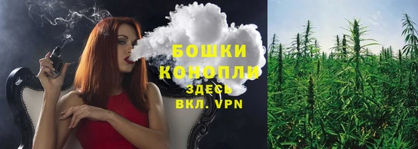 спайс Горняк